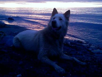 071206_20272caleb_beach