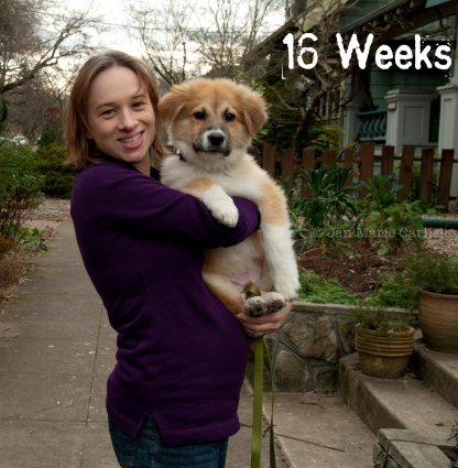 16weeksmainphoto
