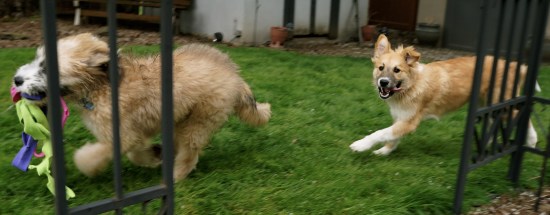 DSC00917 - Version 3