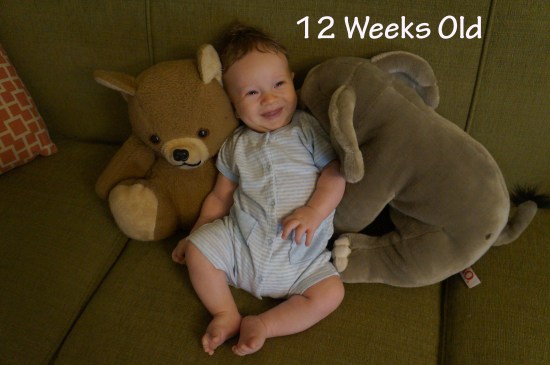 DSC03801 12 weeks