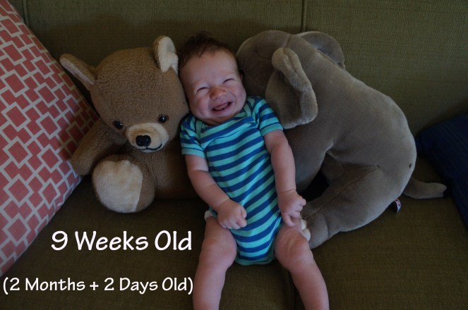 DSC03334 9 weeks or 2 months