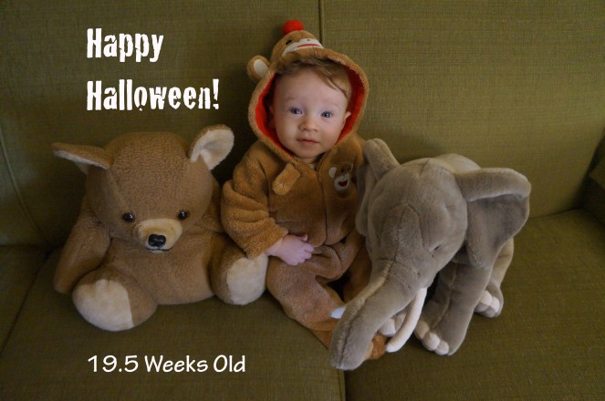 DSC04562 19.5 weeks Halloween