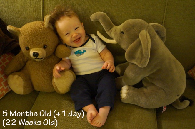 DSC04946 22 Weeks or 5 Months