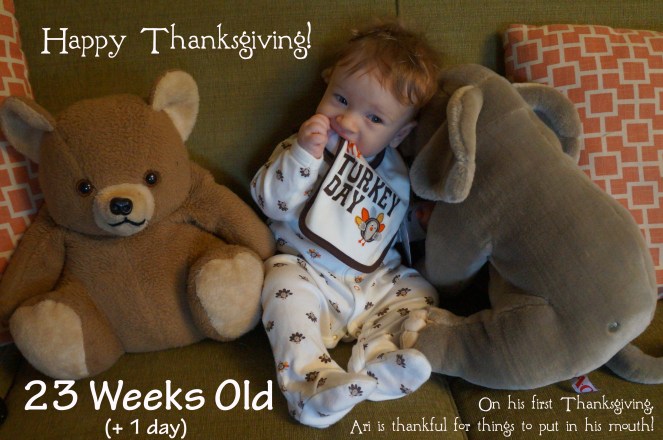 DSC05101 23 Weeks Thanksgiving