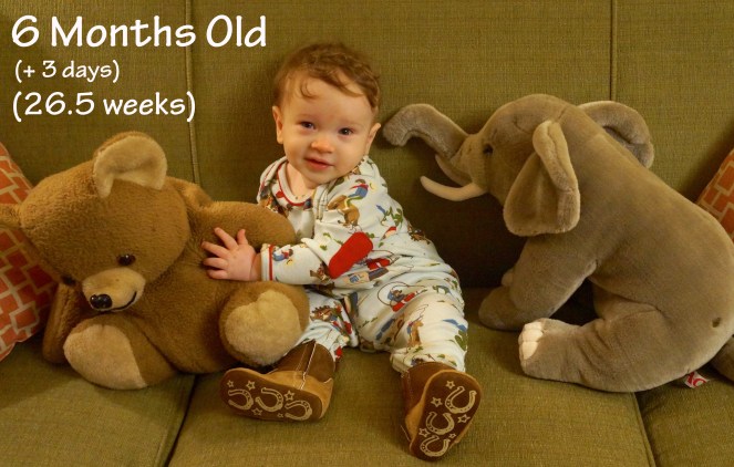 DSC05866 6 months or 26.5 weeks