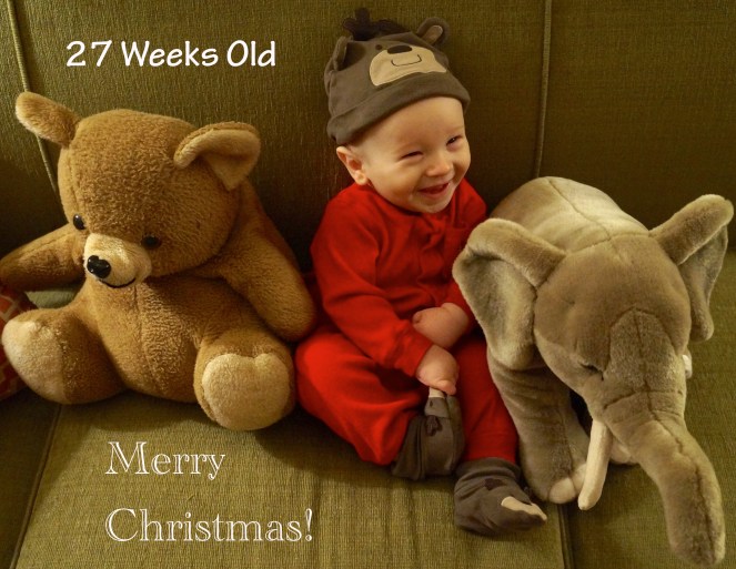 DSC05961 28.5 weeks New Year