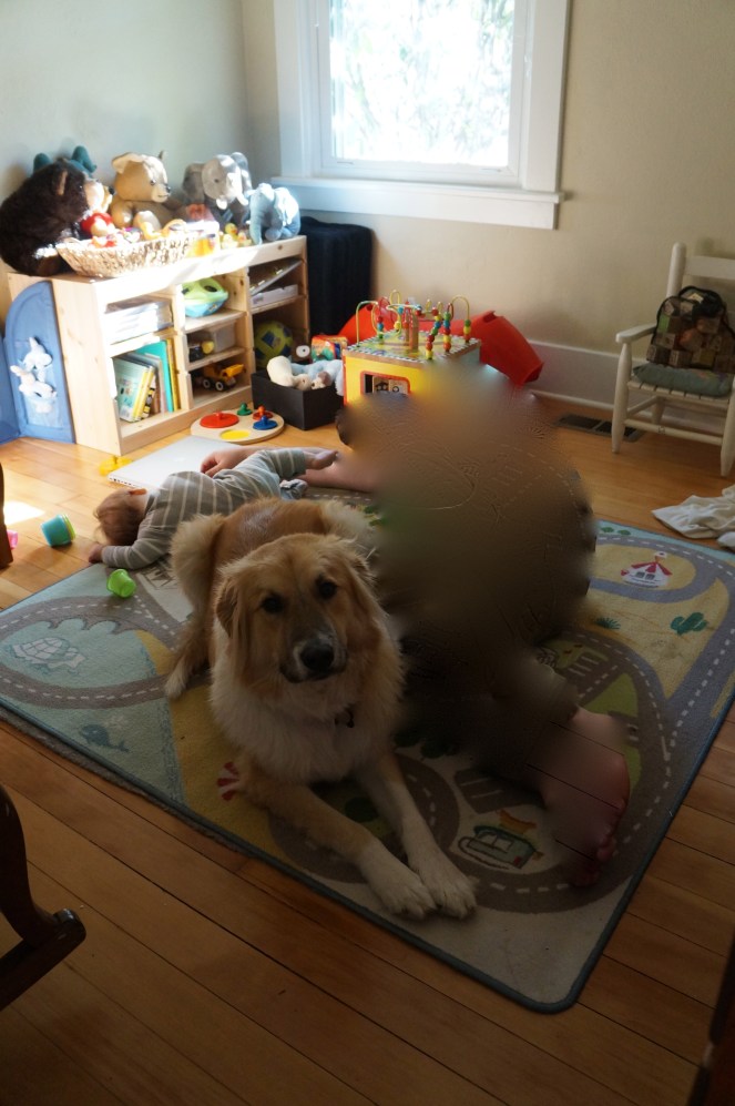 DSC06800 - Version 2