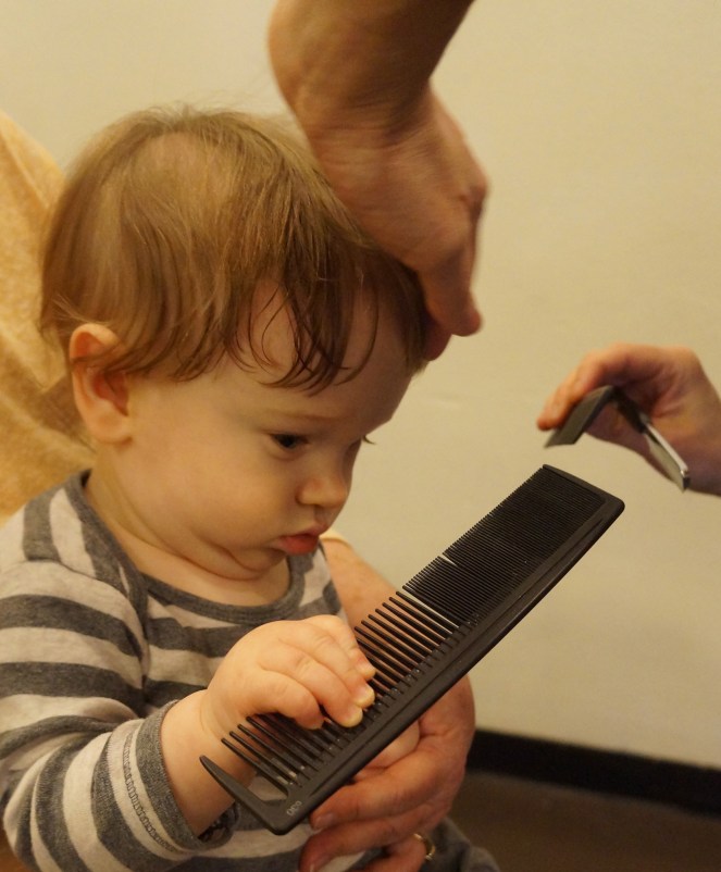 DSC08130 - Version 2