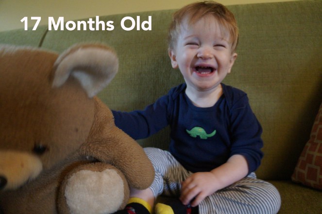 DSC01319 17 months big smile