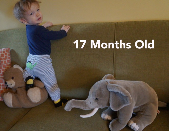 DSC01338 17 months funny