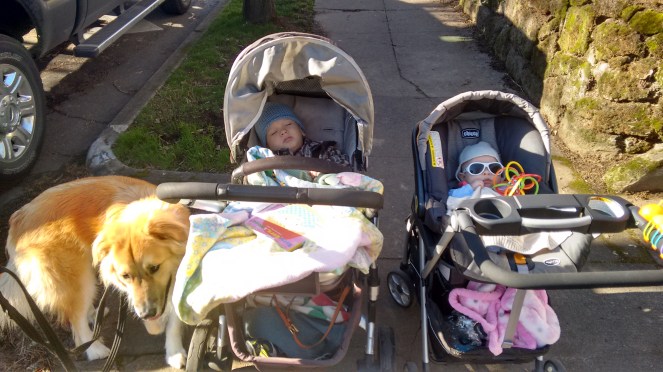 IMG_20150113_123158411_HDR