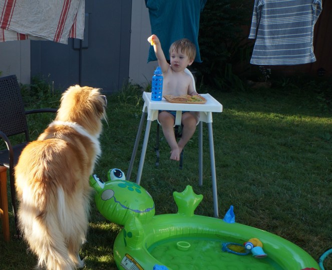 DSC02107 - Version 2