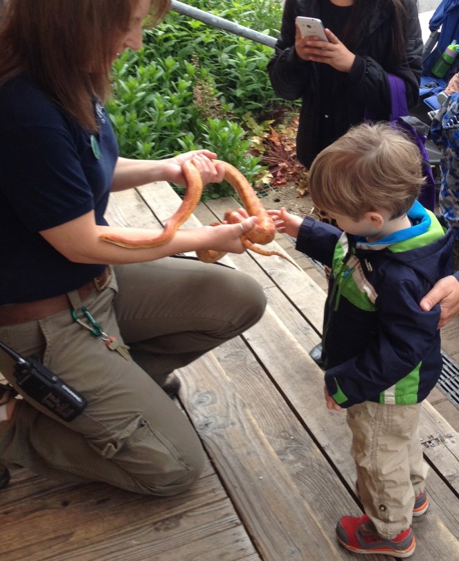 IMG_0664 - Version 2