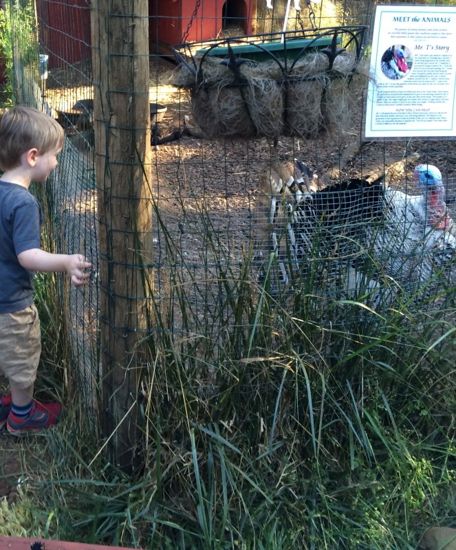 IMG_2721 - Version 2