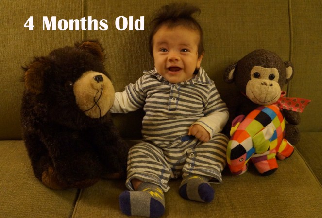 DSC06019 4 months.JPG