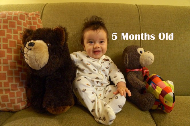 DSC06367 5 months.JPG